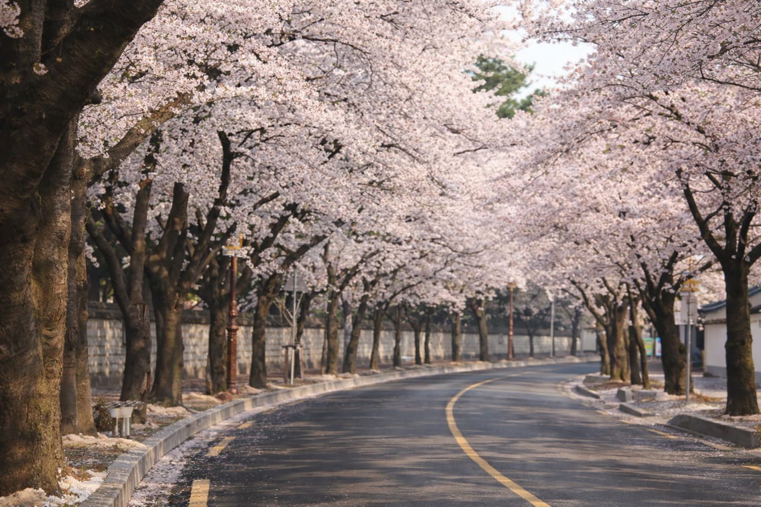 Parents-Friendly Festivals